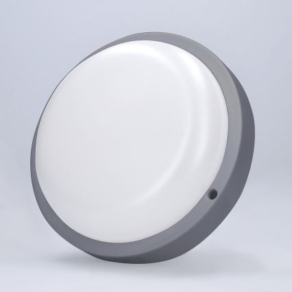 LED Wandlamp voor buiten LED/13W/230V 4000K IP54 grijs rond