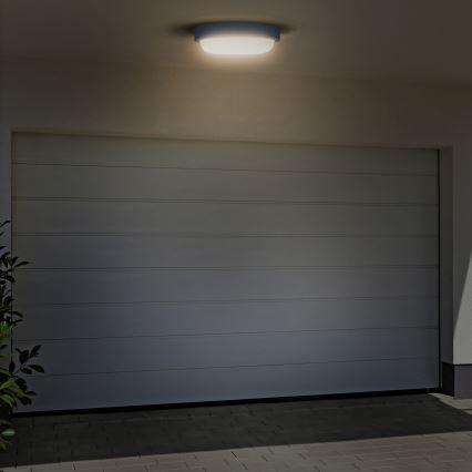 LED Wandlamp voor buiten LED/20W/230V 4000K IP54 grijs rond