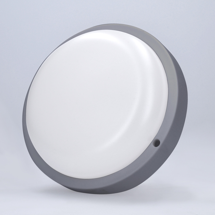 LED Wandlamp voor buiten LED/20W/230V 4000K IP54 grijs rond