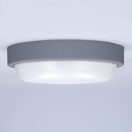 LED Wandlamp voor buiten LED/20W/230V 4000K IP54 grijs rond