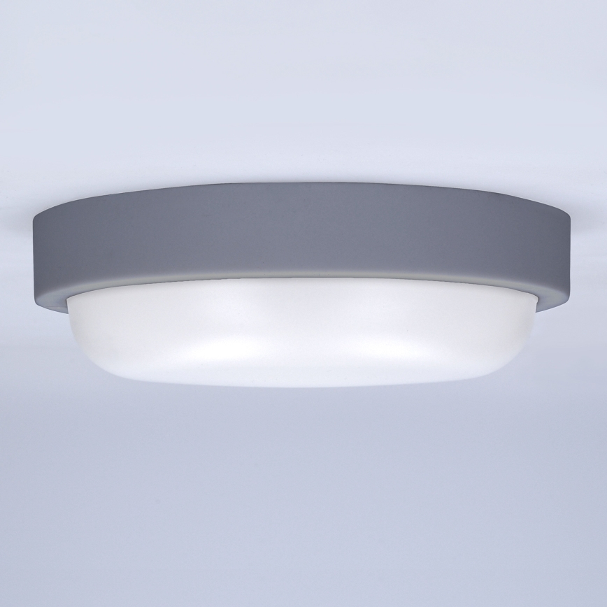 LED Wandlamp voor buiten LED/20W/230V 4000K IP54 grijs rond
