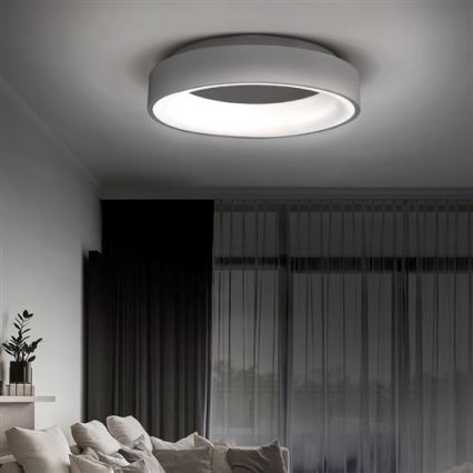 LED Plafondlamp dimbaar TREVISO LED/48W/230V + AB