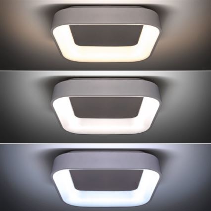 LED Plafondlamp dimbaar LED/48W/230V + afstandsbediening