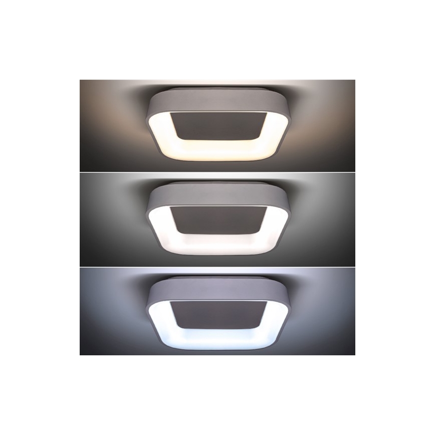 LED Plafondlamp dimbaar LED/48W/230V + afstandsbediening