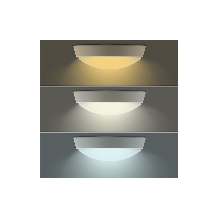 LED buitenwandlamp 2-in-1 LED/20W/230V 3000/4000/6500K IP65 Ø 22 cm