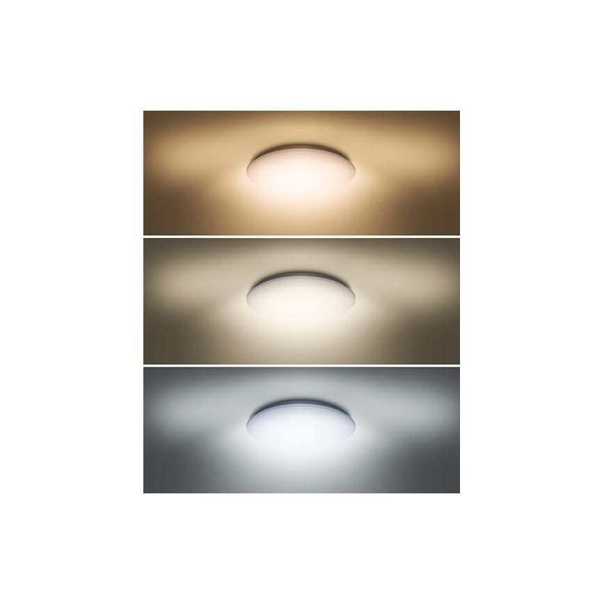 LED Plafond Lamp PLAIN LED/24W/230V 3000K/4000K/6000K rond