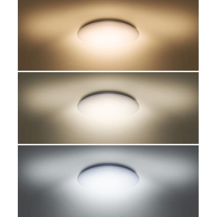 LED Plafondlamp PLAIN LED/36W/230V 3000/4000/6000K rond