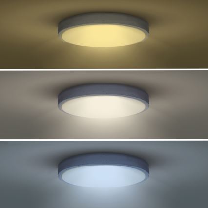 Dimbare LED plafondlamp GREY LED/60W/230V 3000-6500K grijs diameter 49 cm + afstandsbediening