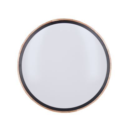 LED Dimbaar Plafondlamp IRON OAK LED/48W/230V 3000-6500K eiken Ø 40 cm + afstandsbediening