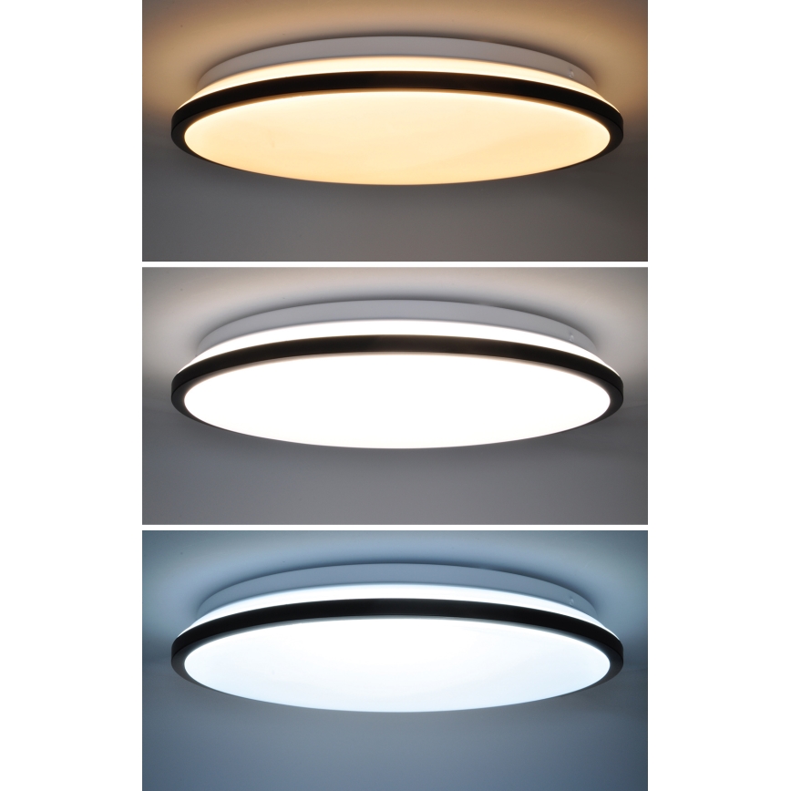 Dimbare LED plafondlamp JAMIL LED/48W/230V 3000-6500K zwart + afstandsbediening