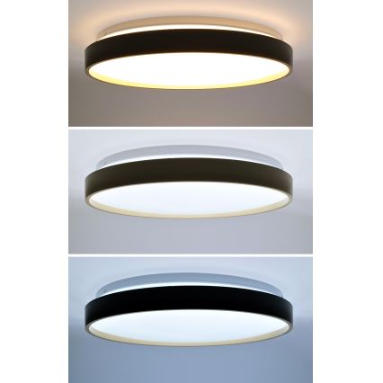 Dimbare LED plafondlamp CALA LED/48W/230V 3000-6500K zwart/goud + afstandsbediening