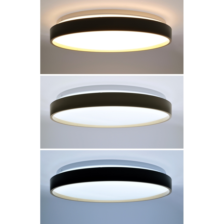 Dimbare LED plafondlamp CALA LED/48W/230V 3000-6500K zwart/goud + afstandsbediening