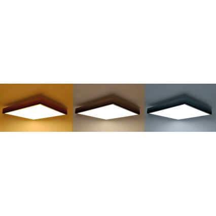 LED Dimbare plafondlamp LED/40W/230V 3000-6500K + afstandsbediening