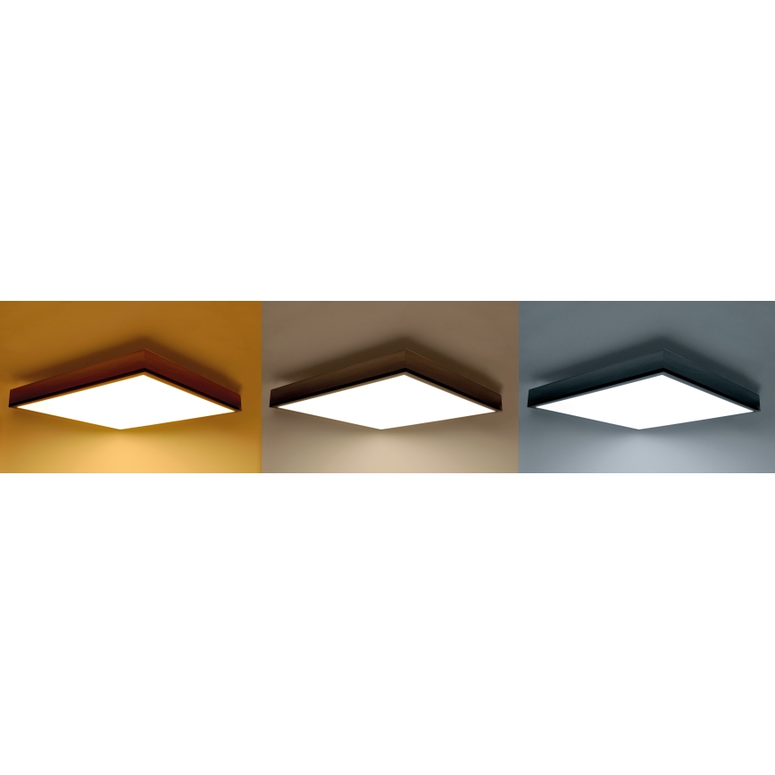 LED Dimbare plafondlamp LED/40W/230V 3000-6500K + afstandsbediening