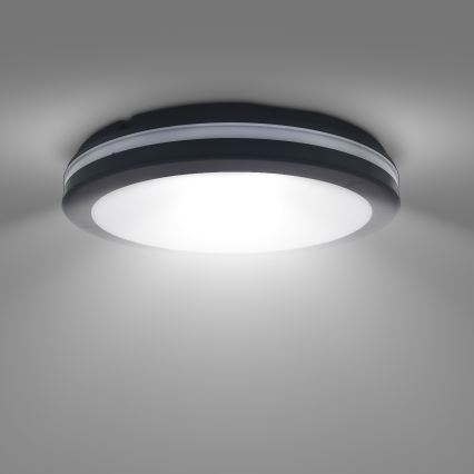 LED Dimbaar buitenshuis plafond lamp LED/18W/22W/26W/230V 3000/4000/6500K IP65 zwart