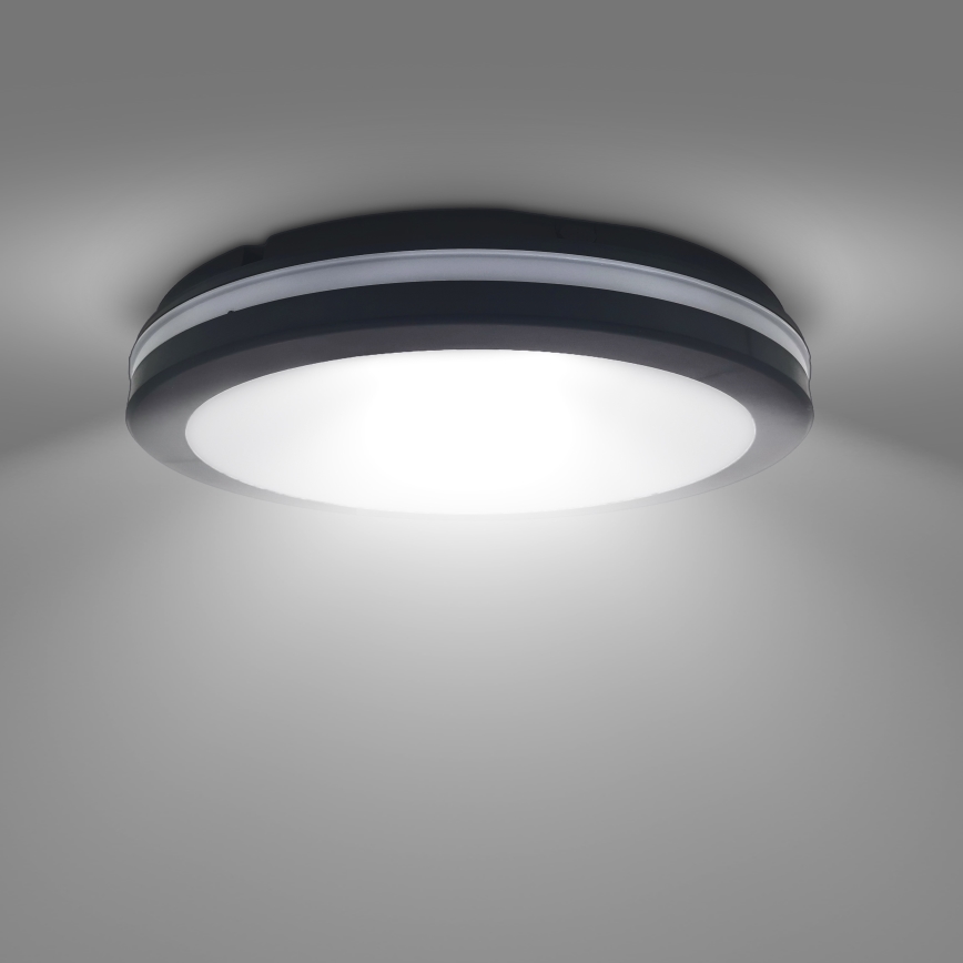 LED Dimbaar buitenshuis plafond lamp LED/18W/22W/26W/230V 3000/4000/6500K IP65 zwart