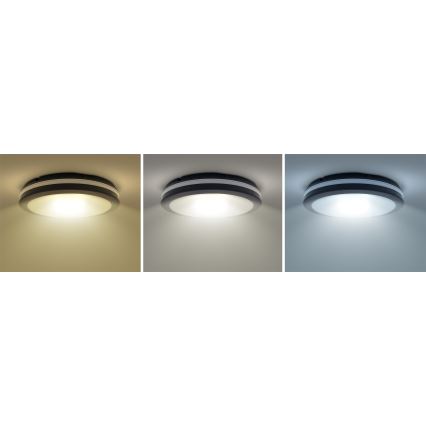 LED Dimbaar buitenshuis plafond lamp LED/18W/22W/26W/230V 3000/4000/6500K IP65 zwart