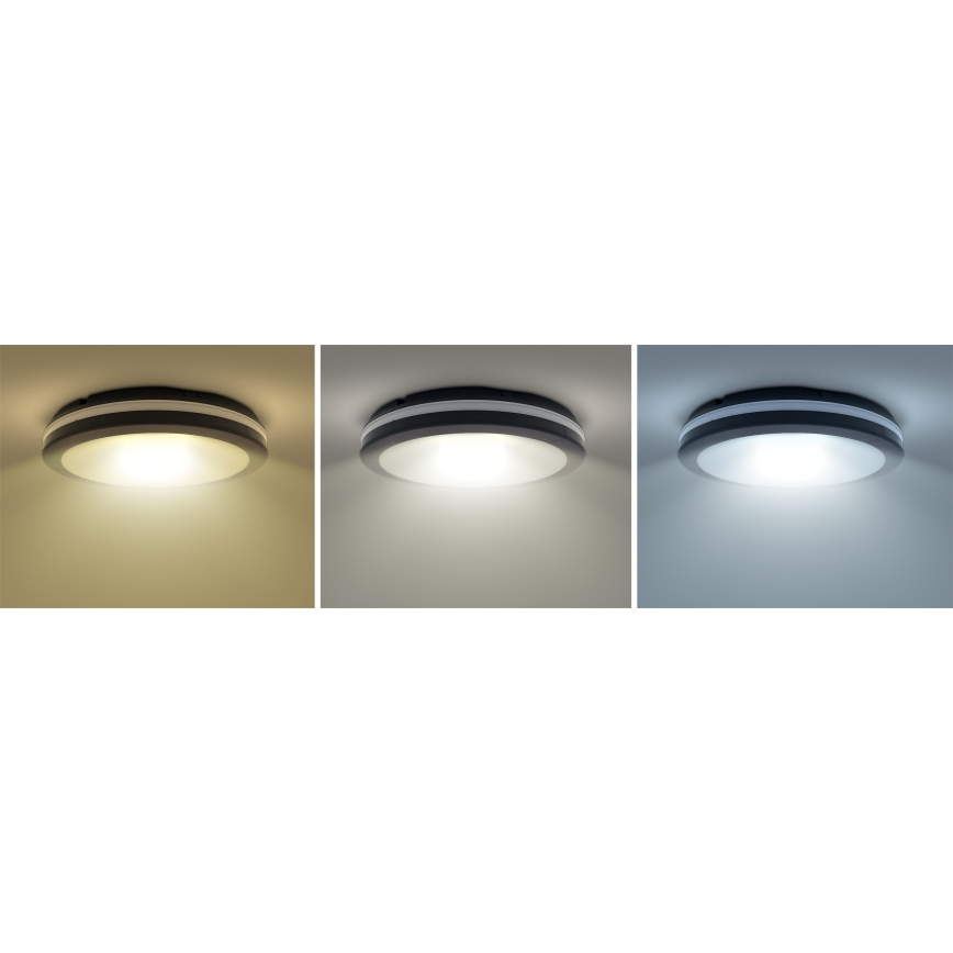 LED Dimbaar buitenshuis plafond lamp LED/18W/22W/26W/230V 3000/4000/6500K IP65 zwart