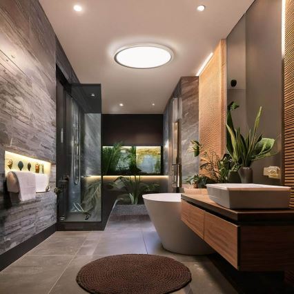 ACATE LED-plafondlamp voor badkamer, 24W/230V, 3000/4000/6000K, Ø 29,3 cm, IP54