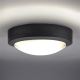 LED Plafondverlichting voor buiten LED / 13W / 230V IP54 antraciet
