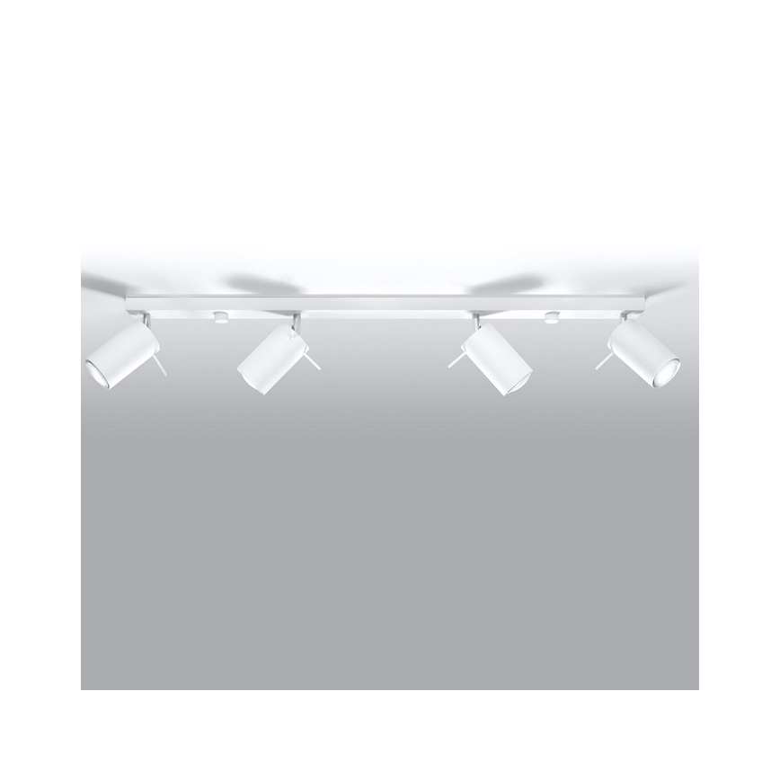 Spot RING 4L 4xGU10/10W/230V wit