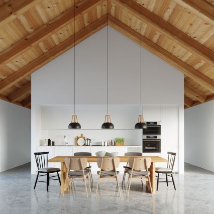 Hanglamp aan een koord CASCO 1xE27/60W/230V diameter 30 cm Berk