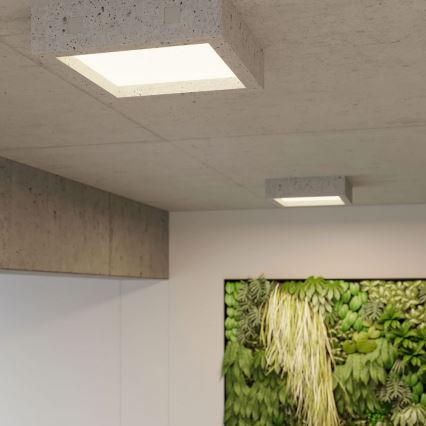 LED Plafond Lamp RIZA LED/18W/230V beton