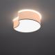Plafondlamp CIRCLE 2xE27/60W/230V wit