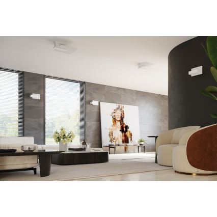 Plafondlamp LAPPO 2x E27/15W/230V wit