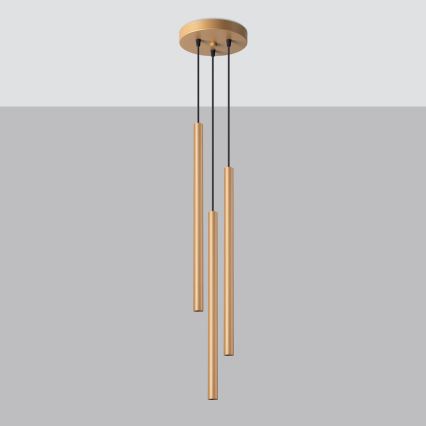 Hanglamp aan een koord PASTELO 3xG9/8W/230V goud