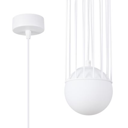Hanglamp aan een koord BRINA 1xG9/8W/230V wit