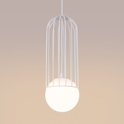 Hanglamp aan een koord BRINA 1xG9/8W/230V wit