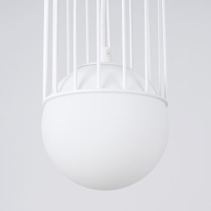 Hanglamp aan een koord BRINA 1xG9/8W/230V wit