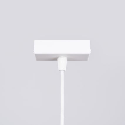 LED Hanglamp aan een koord SPARK 1xG13/8,5W/230V wit