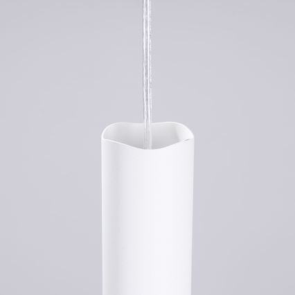 Hanglamp aan een koord LIRO 1xGU10/10W/230V wit