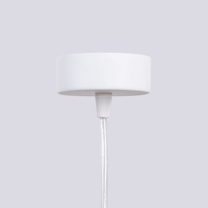 Hanglamp aan een koord LIRO 1xGU10/10W/230V wit