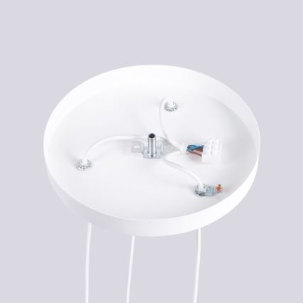 Hanglamp aan een koord HALO 3xG9/8W/230V diameter 25 cm wit