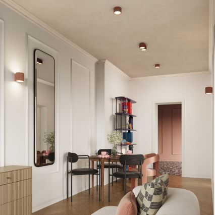 Spotlamp AURA 1xGX53/10W/230V 6 cm bruin