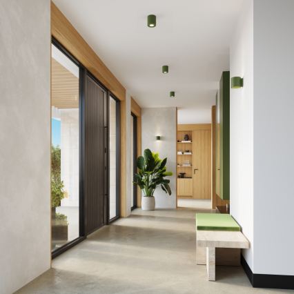 Wandspot ORBIS 1xG9/8W/230V beton/groen