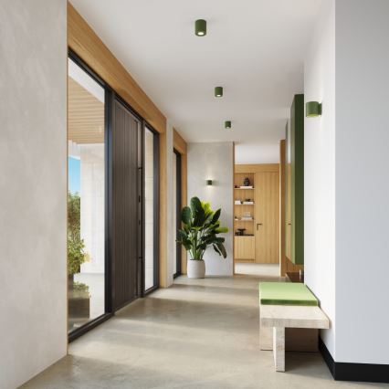 Spotlamp ORBIS 1xGU10/10W/230V beton/groen