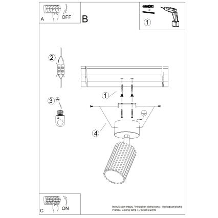 Spotlamp KARBON 1xGU10/10W/230V wit