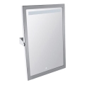 Spiegel 40x60 cm RVS/zilver