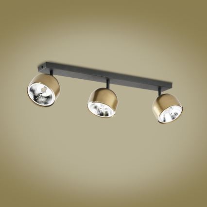 Spot ALTEA 3xAR111 GU10/50W/230V goud/zwart