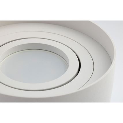Spot  BESA 1xGU10/30W/230V wit