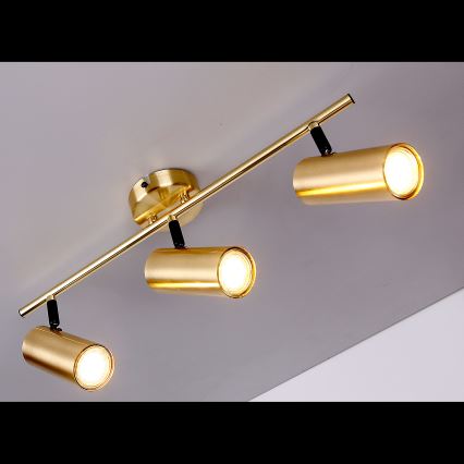 Spot COLLY 3xGU10/15W/230V goud