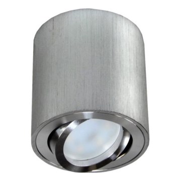 Spot FEBE 1xGU10/30W/230V mat chroom