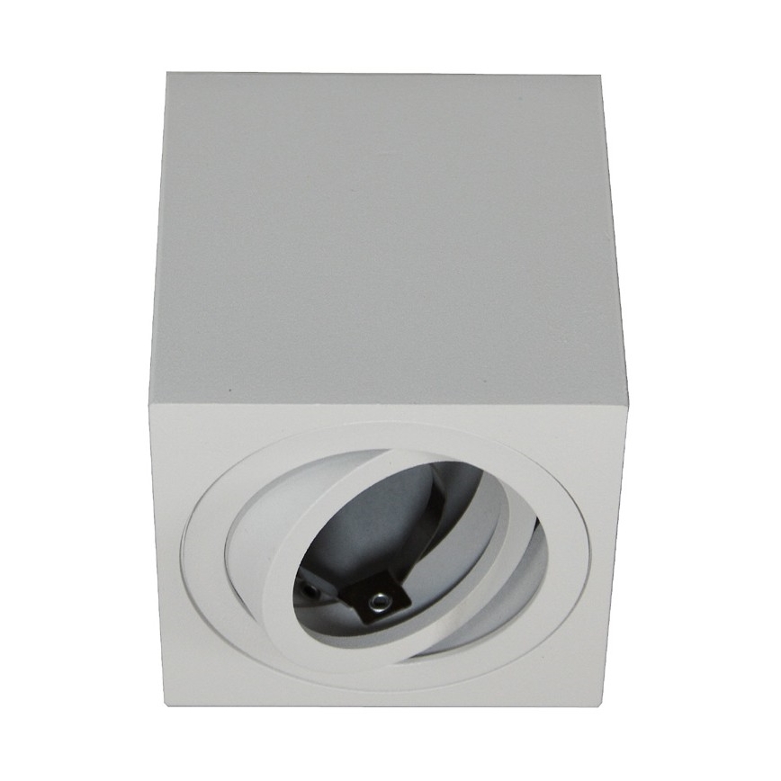 Spot FEBE 1xGU10/30W/230V wit