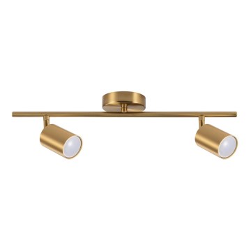 Spot GOLDI 2xGU10/10W/230V goud