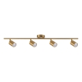 Spot GOLDI 4xGU10/10W/230V goud
