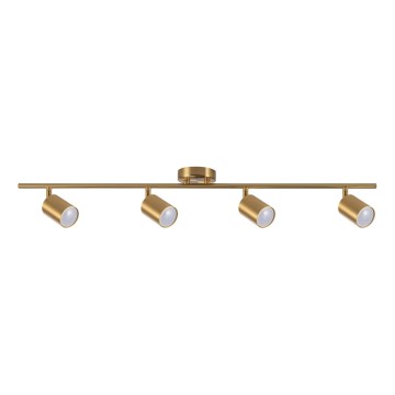 Spot GOLDI 4xGU10/10W/230V goud